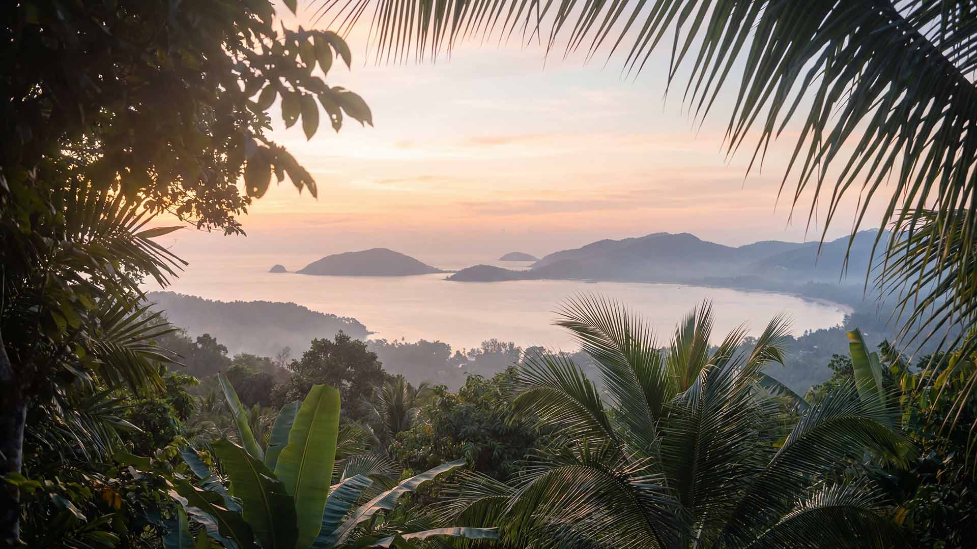 Digital marketing consultation in Phuket