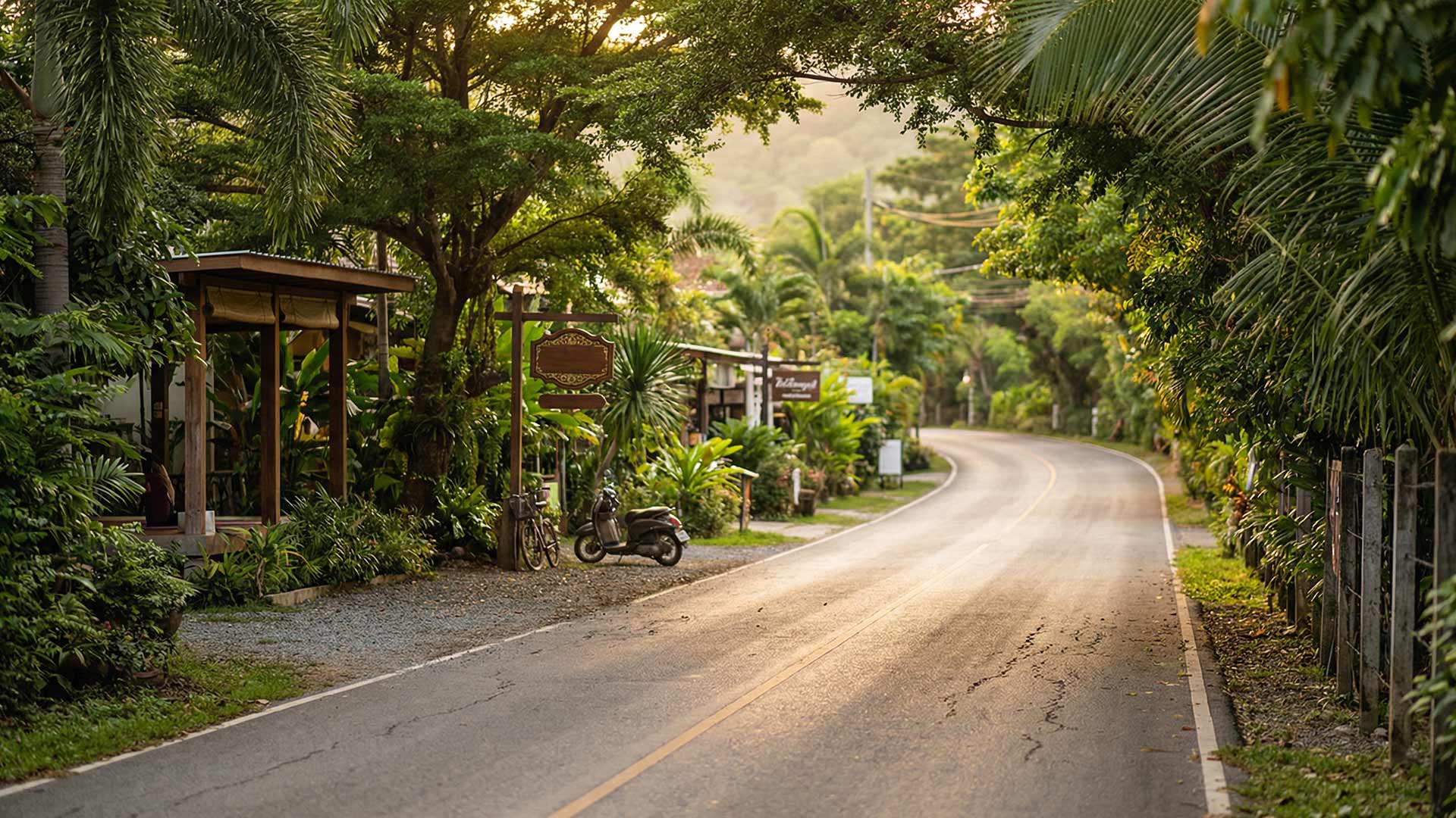 Curving Nai Harn access road lined with tropical trees, a parked scooter, and wooden signboards for local businesses bathed in golden afternoon light